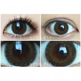 FLANMY Matcha Tart 10片裝